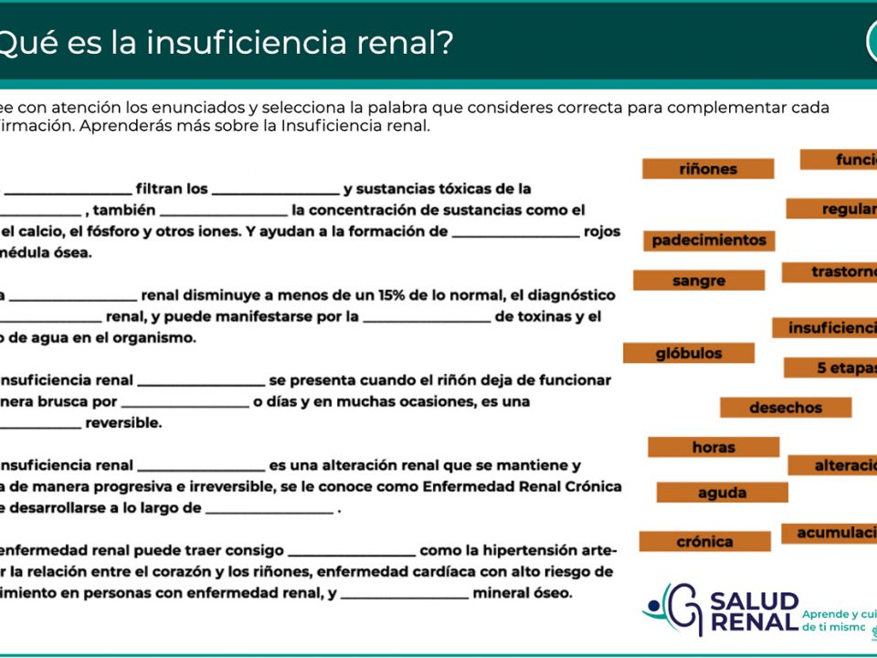 etapas de la enfermedad renal